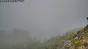 ./images/calvert/foggy-cove/20260822/foggy-cove20260822_181501M.jpg