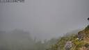 ./images/calvert/foggy-cove/20260822/foggy-cove20260822_182001M.jpg