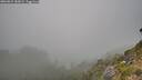 ./images/calvert/foggy-cove/20260822/foggy-cove20260822_183001M.jpg