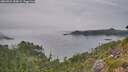 ./images/calvert/foggy-cove/20260822/foggy-cove20260822_185002M.jpg