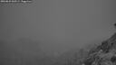 ./images/calvert/foggy-cove/20260823/foggy-cove20260823_060501M.jpg
