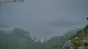 ./images/calvert/foggy-cove/20260823/foggy-cove20260823_062001M.jpg