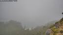 ./images/calvert/foggy-cove/20260823/foggy-cove20260823_065501M.jpg