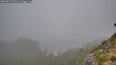 ./images/calvert/foggy-cove/20260823/foggy-cove20260823_071002M.jpg