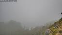 ./images/calvert/foggy-cove/20260823/foggy-cove20260823_071501M.jpg