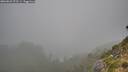 ./images/calvert/foggy-cove/20260823/foggy-cove20260823_072501M.jpg