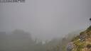 ./images/calvert/foggy-cove/20260823/foggy-cove20260823_073001M.jpg