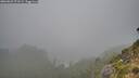 ./images/calvert/foggy-cove/20260823/foggy-cove20260823_073501M.jpg