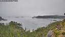 ./images/calvert/foggy-cove/20260823/foggy-cove20260823_075501M.jpg