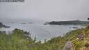 ./images/calvert/foggy-cove/20260823/foggy-cove20260823_080002M.jpg