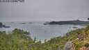 ./images/calvert/foggy-cove/20260823/foggy-cove20260823_081001M.jpg