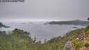 ./images/calvert/foggy-cove/20260823/foggy-cove20260823_085501M.jpg