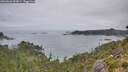 ./images/calvert/foggy-cove/20260823/foggy-cove20260823_093001M.jpg