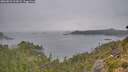 ./images/calvert/foggy-cove/20260823/foggy-cove20260823_112001M.jpg