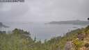 ./images/calvert/foggy-cove/20260823/foggy-cove20260823_114501M.jpg