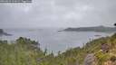 ./images/calvert/foggy-cove/20260823/foggy-cove20260823_115001M.jpg