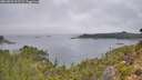 ./images/calvert/foggy-cove/20260823/foggy-cove20260823_115501M.jpg