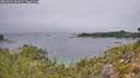 ./images/calvert/foggy-cove/20260823/foggy-cove20260823_122001M.jpg