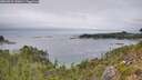 ./images/calvert/foggy-cove/20260823/foggy-cove20260823_140001M.jpg