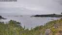 ./images/calvert/foggy-cove/20260823/foggy-cove20260823_145001M.jpg