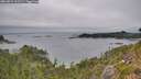 ./images/calvert/foggy-cove/20260823/foggy-cove20260823_161501M.jpg