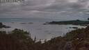 ./images/calvert/foggy-cove/20260824/foggy-cove20260824_060501M.jpg