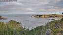 ./images/calvert/foggy-cove/20260824/foggy-cove20260824_074501M.jpg