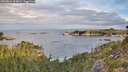 ./images/calvert/foggy-cove/20260824/foggy-cove20260824_075001M.jpg