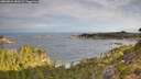 ./images/calvert/foggy-cove/20260824/foggy-cove20260824_082001M.jpg