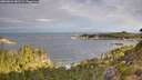 ./images/calvert/foggy-cove/20260824/foggy-cove20260824_082501M.jpg