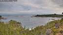 ./images/calvert/foggy-cove/20260824/foggy-cove20260824_084001M.jpg