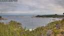 ./images/calvert/foggy-cove/20260824/foggy-cove20260824_084501M.jpg