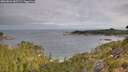 ./images/calvert/foggy-cove/20260824/foggy-cove20260824_085501M.jpg