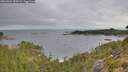 ./images/calvert/foggy-cove/20260824/foggy-cove20260824_090501M.jpg