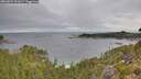 ./images/calvert/foggy-cove/20260824/foggy-cove20260824_091001M.jpg