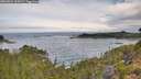 ./images/calvert/foggy-cove/20260824/foggy-cove20260824_100501M.jpg