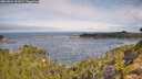 ./images/calvert/foggy-cove/20260824/foggy-cove20260824_102001M.jpg
