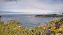 ./images/calvert/foggy-cove/20260824/foggy-cove20260824_102501M.jpg
