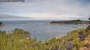 ./images/calvert/foggy-cove/20260824/foggy-cove20260824_103002M.jpg