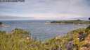 ./images/calvert/foggy-cove/20260824/foggy-cove20260824_103501M.jpg