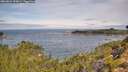 ./images/calvert/foggy-cove/20260824/foggy-cove20260824_104001M.jpg