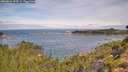 ./images/calvert/foggy-cove/20260824/foggy-cove20260824_104502M.jpg