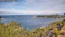 ./images/calvert/foggy-cove/20260824/foggy-cove20260824_105001M.jpg
