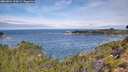 ./images/calvert/foggy-cove/20260824/foggy-cove20260824_110001M.jpg