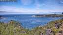 ./images/calvert/foggy-cove/20260824/foggy-cove20260824_112001M.jpg