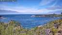 ./images/calvert/foggy-cove/20260824/foggy-cove20260824_113501M.jpg