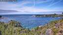 ./images/calvert/foggy-cove/20260824/foggy-cove20260824_124501M.jpg
