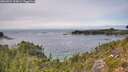 ./images/calvert/foggy-cove/20260824/foggy-cove20260824_134001M.jpg