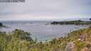 ./images/calvert/foggy-cove/20260824/foggy-cove20260824_135002M.jpg