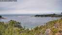 ./images/calvert/foggy-cove/20260824/foggy-cove20260824_135501M.jpg
